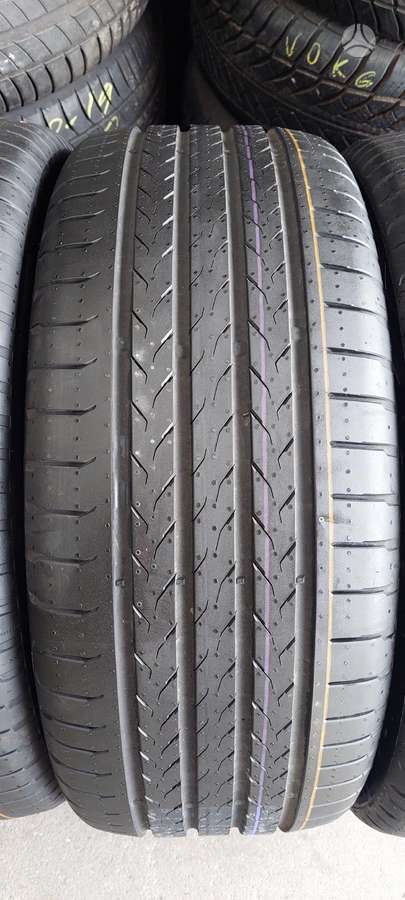 Continental, vasarinės 225/55 R18
