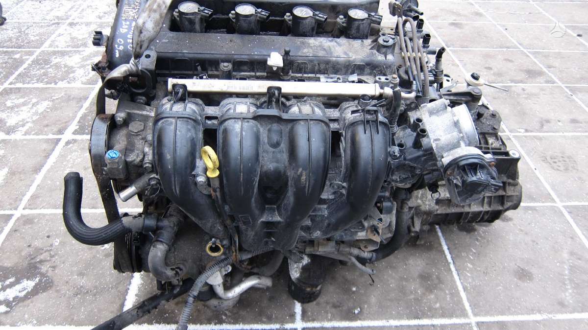 Ford Mondeo Variklio kodas tbba