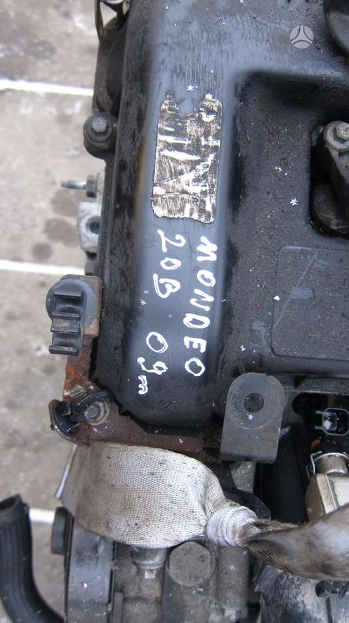 Ford Mondeo Variklio kodas tbba