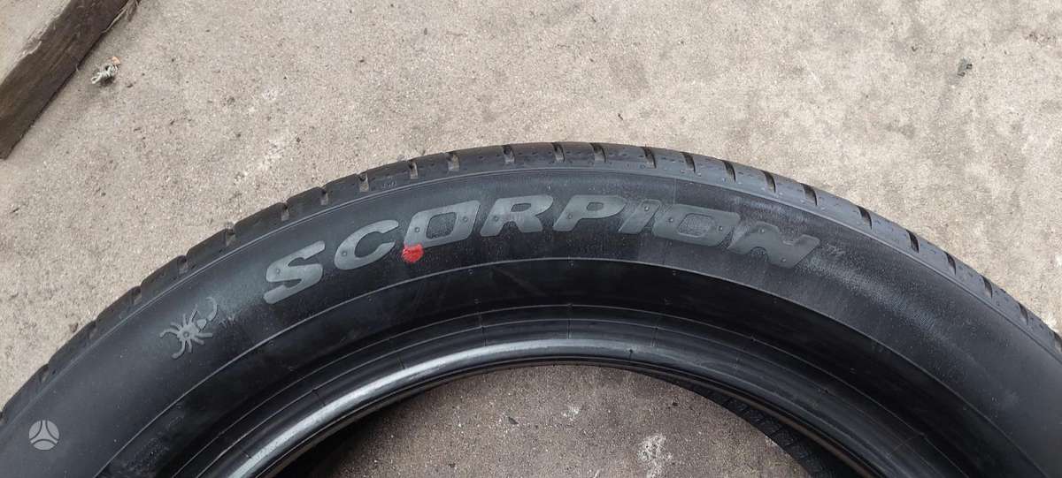 Pirelli, vasarinės 255/50 R19