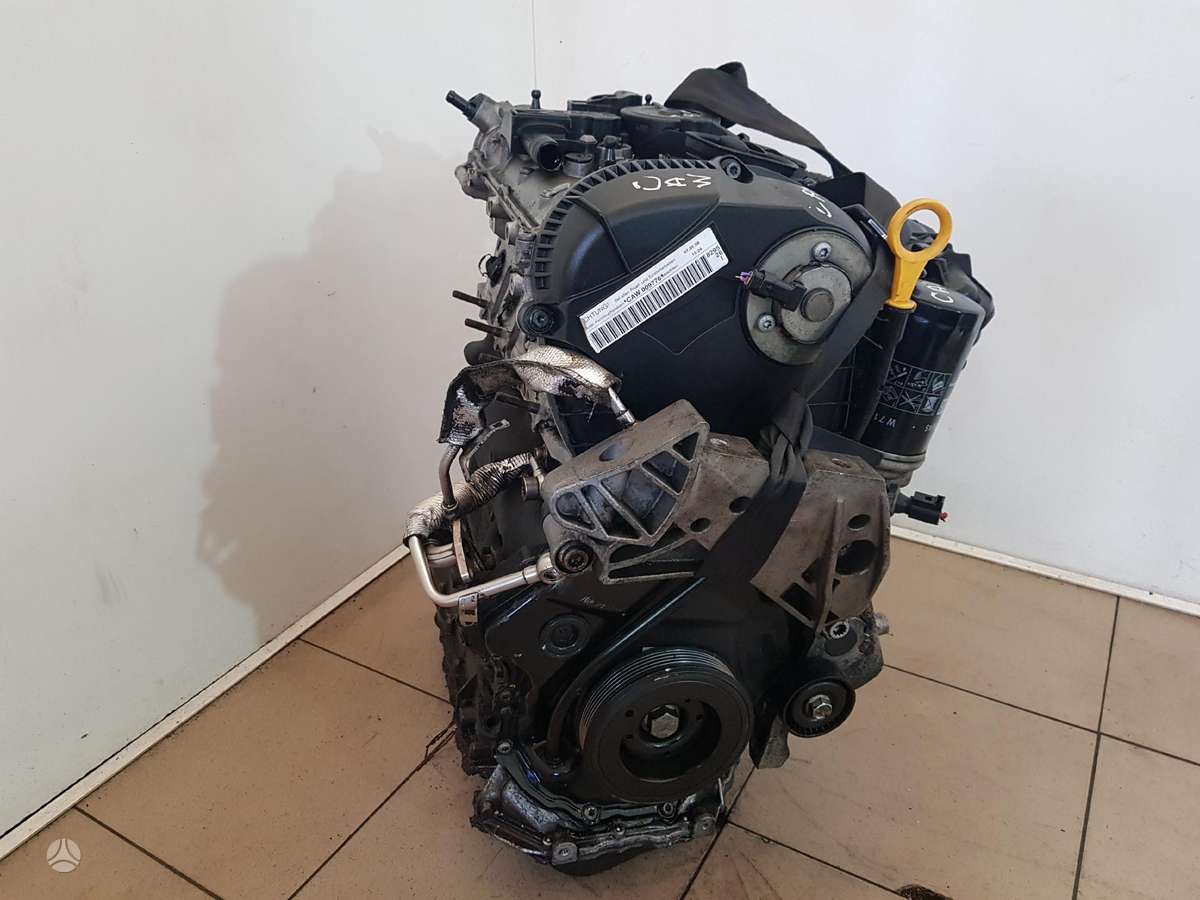 Volkswagen Passat Variklio kodas caw