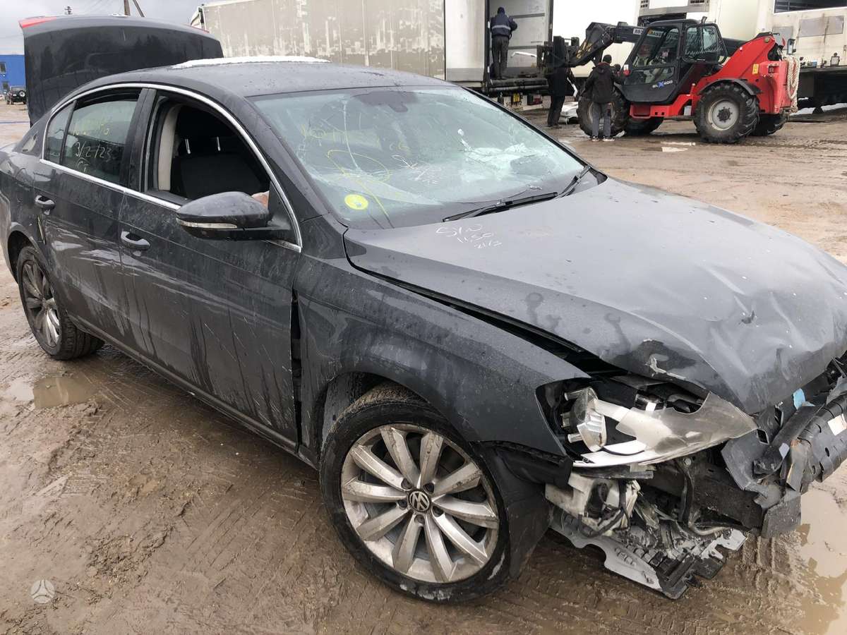 Volkswagen Passat dalimis