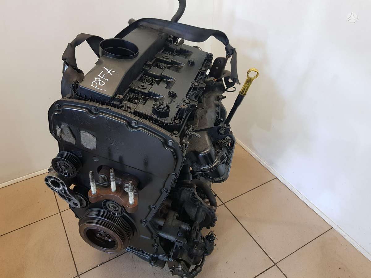 Ford Transit Variklio kodas p8fa