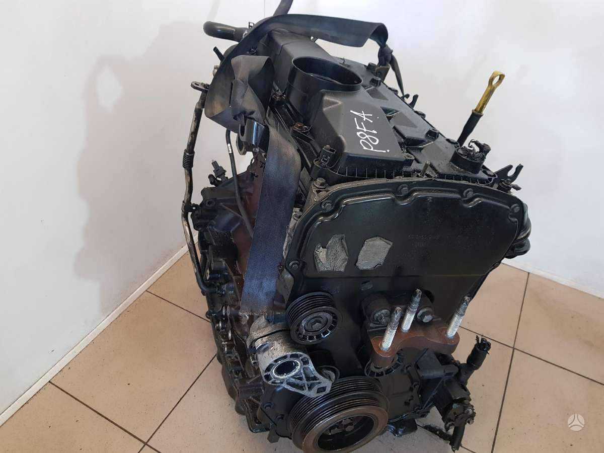 Ford Transit Variklio kodas p8fa