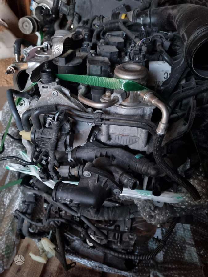 Ford Fiesta, M1DD, engine