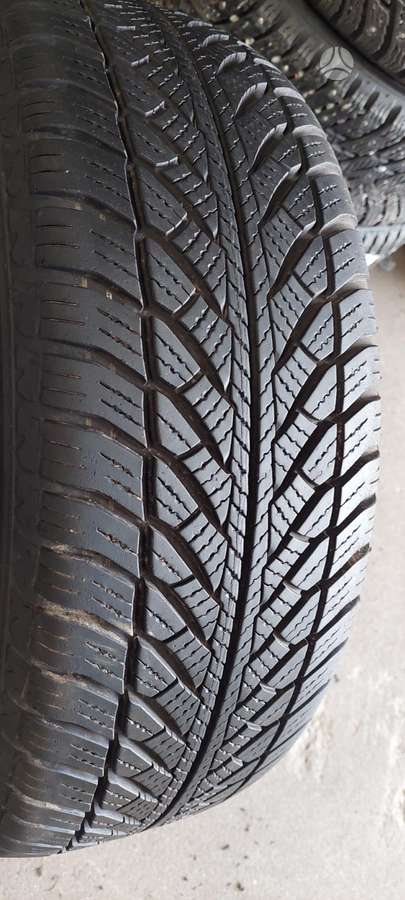 Goodyear, winter 205/55 R16