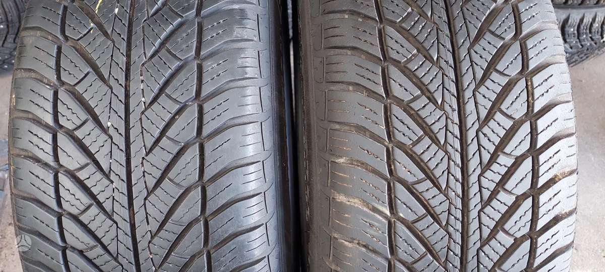 Goodyear, winter 205/55 R16
