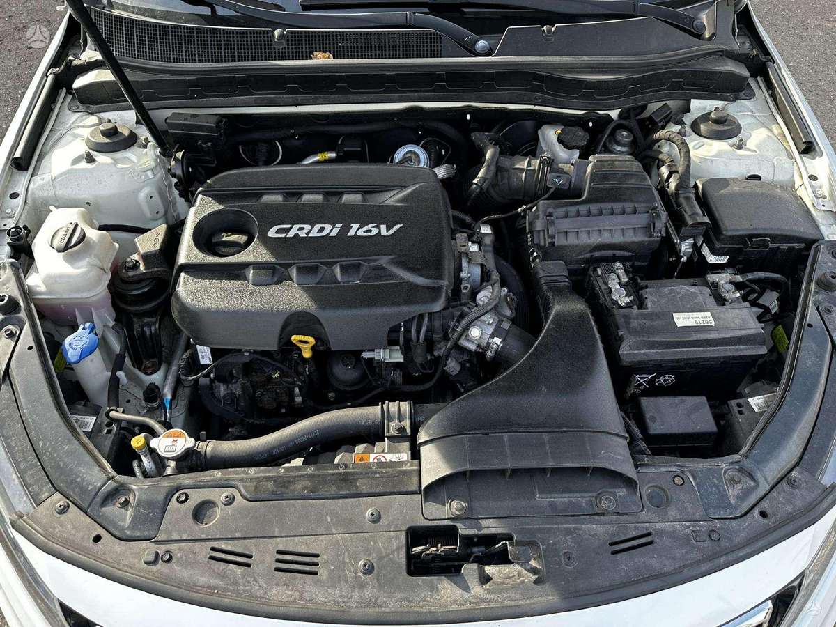 Kia Optima dalimis