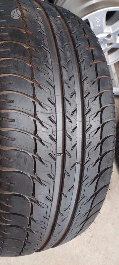 BF Goodrich, vasarinės 225/55 R17