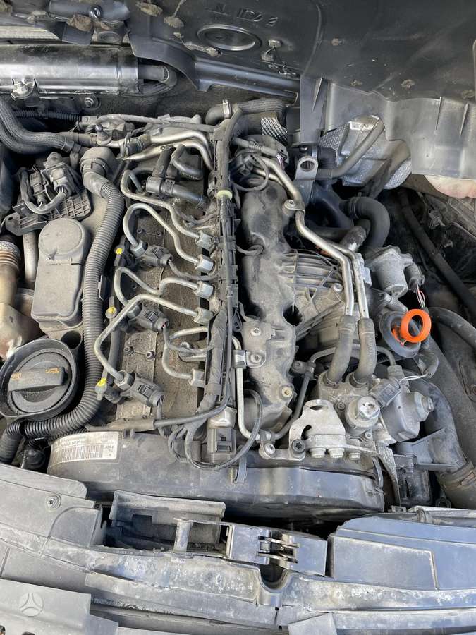 Seat Exeo