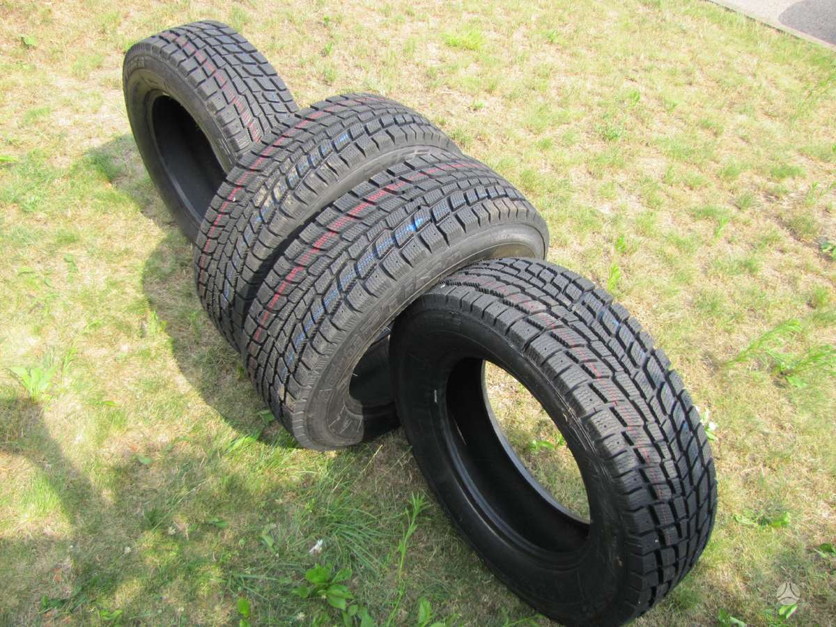 Agi ARKTIO  B-ICE, всесезонные 225/55 R17