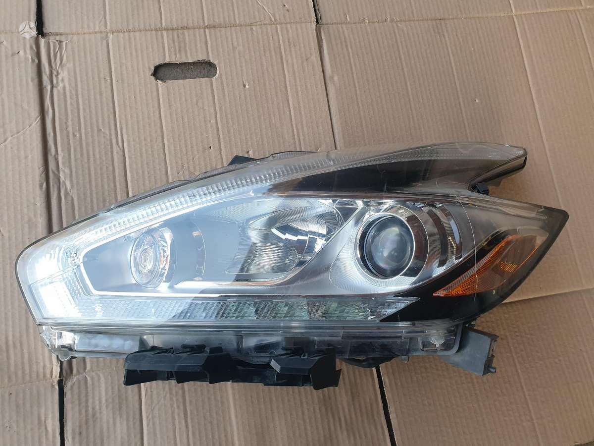 Nissan Murano žibintai