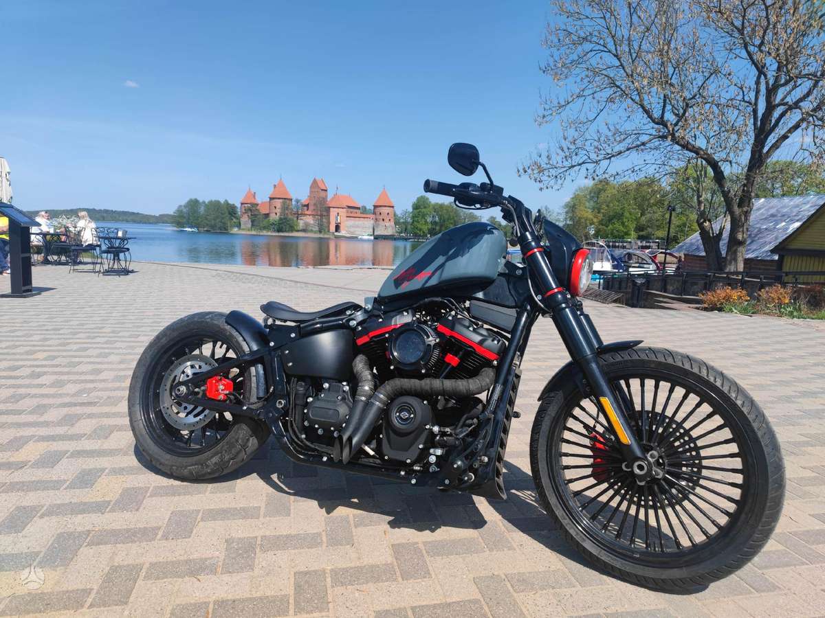 Harley-Davidson FXST 1746cc, choppers