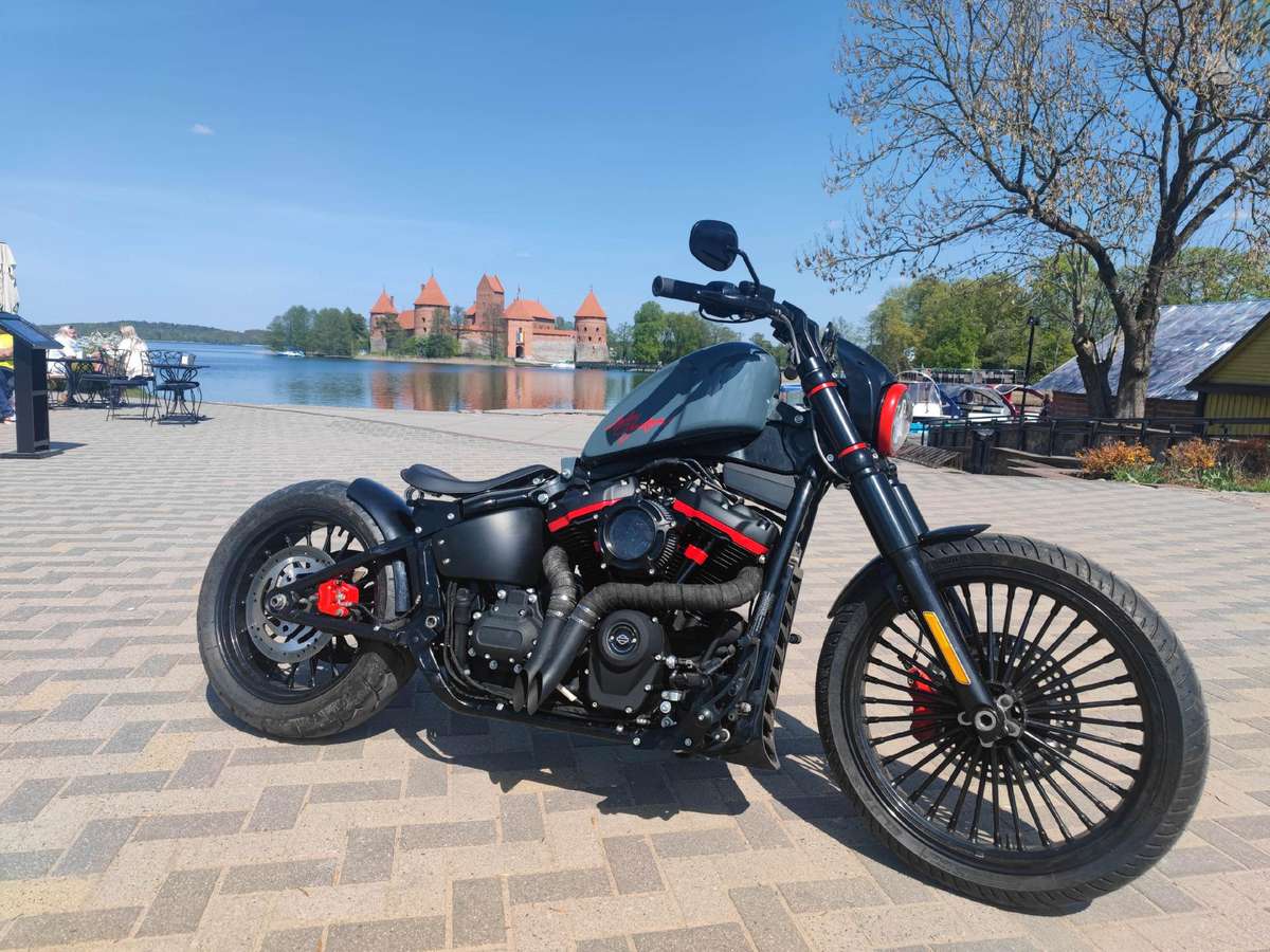 Harley-Davidson FXST 1746cc, чопперы / круизеры / custom