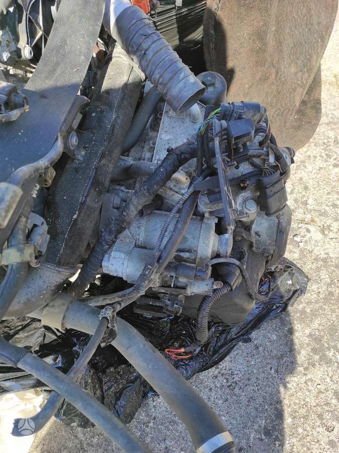 Volkswagen Golf Tik variklis ir dėžė