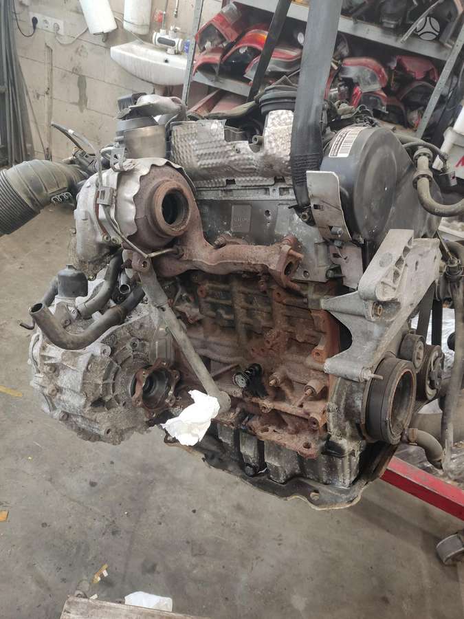 Volkswagen Passat, CBA kmy