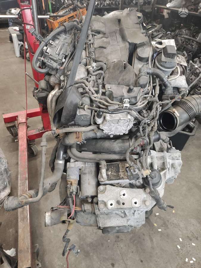 Volkswagen Passat, CBA kmy