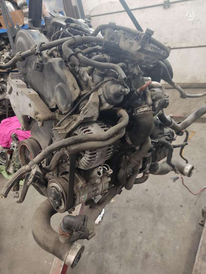 Volkswagen Passat, CBA kmy