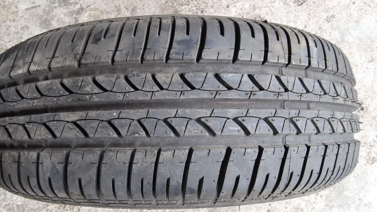 Bridgestone B 250, vasarinės 195/65 R15