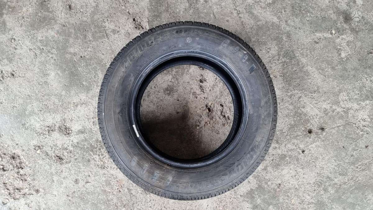 Bridgestone B 250, vasarinės 195/65 R15