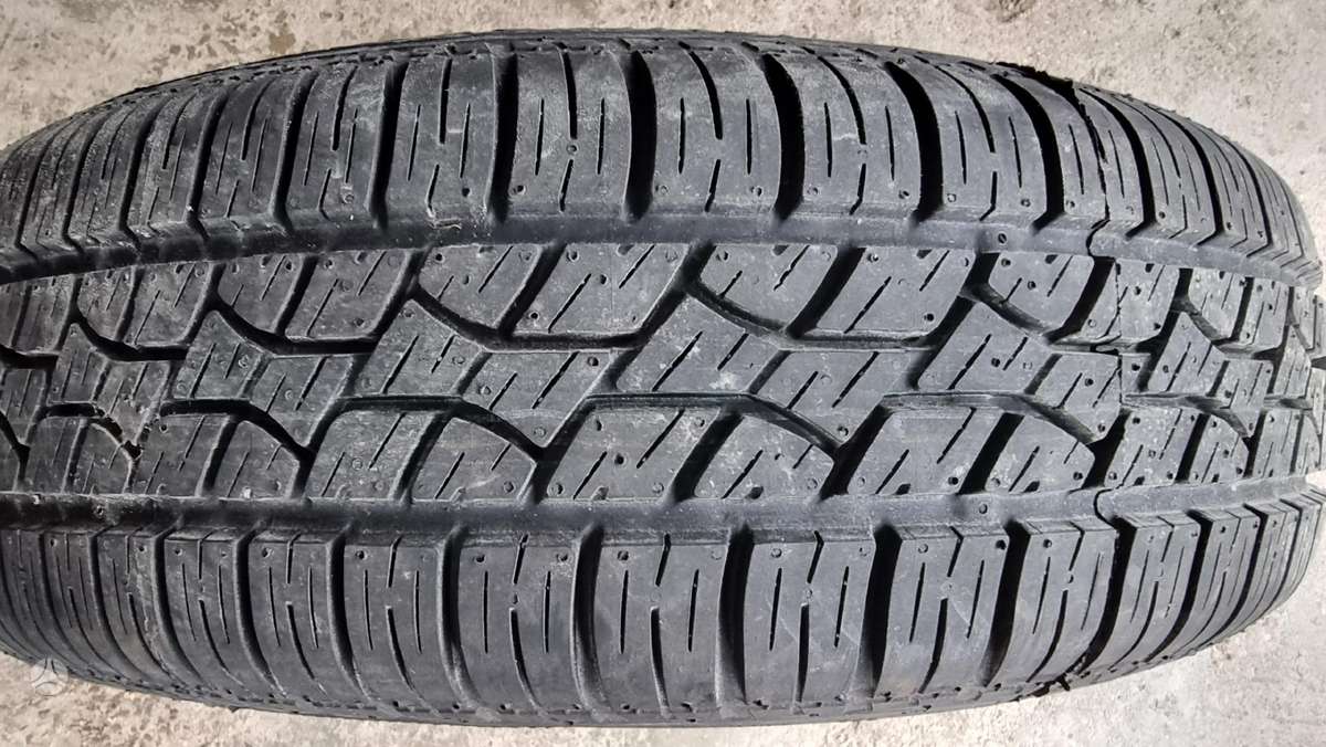 Bridgestone B 250, vasarinės 195/65 R15
