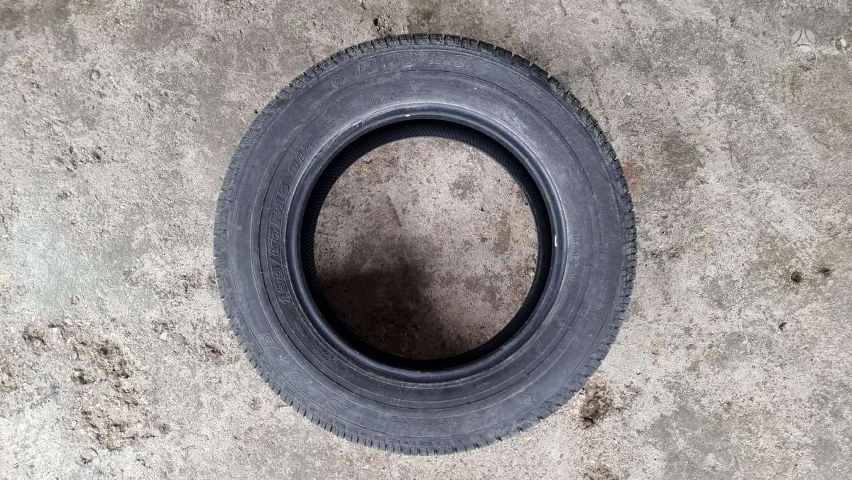 Bridgestone B 250, vasarinės 195/65 R15