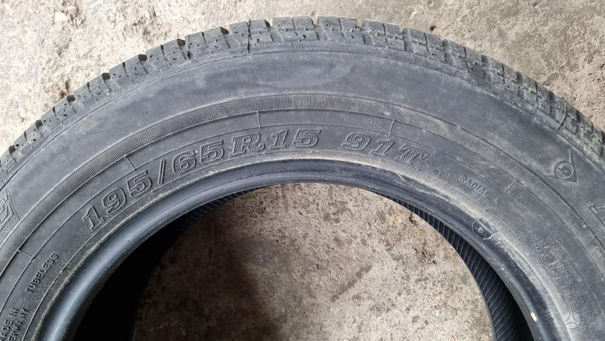 Bridgestone B 250, vasarinės 195/65 R15