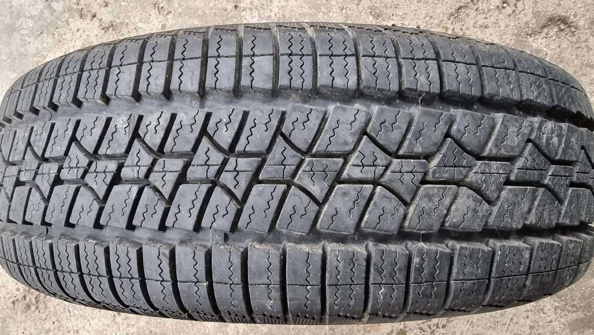 Bridgestone B 250, vasarinės 195/65 R15