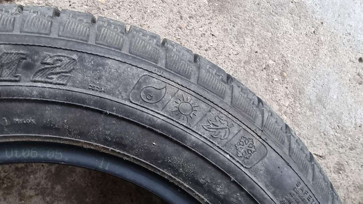 Bridgestone B 250, vasarinės 195/65 R15