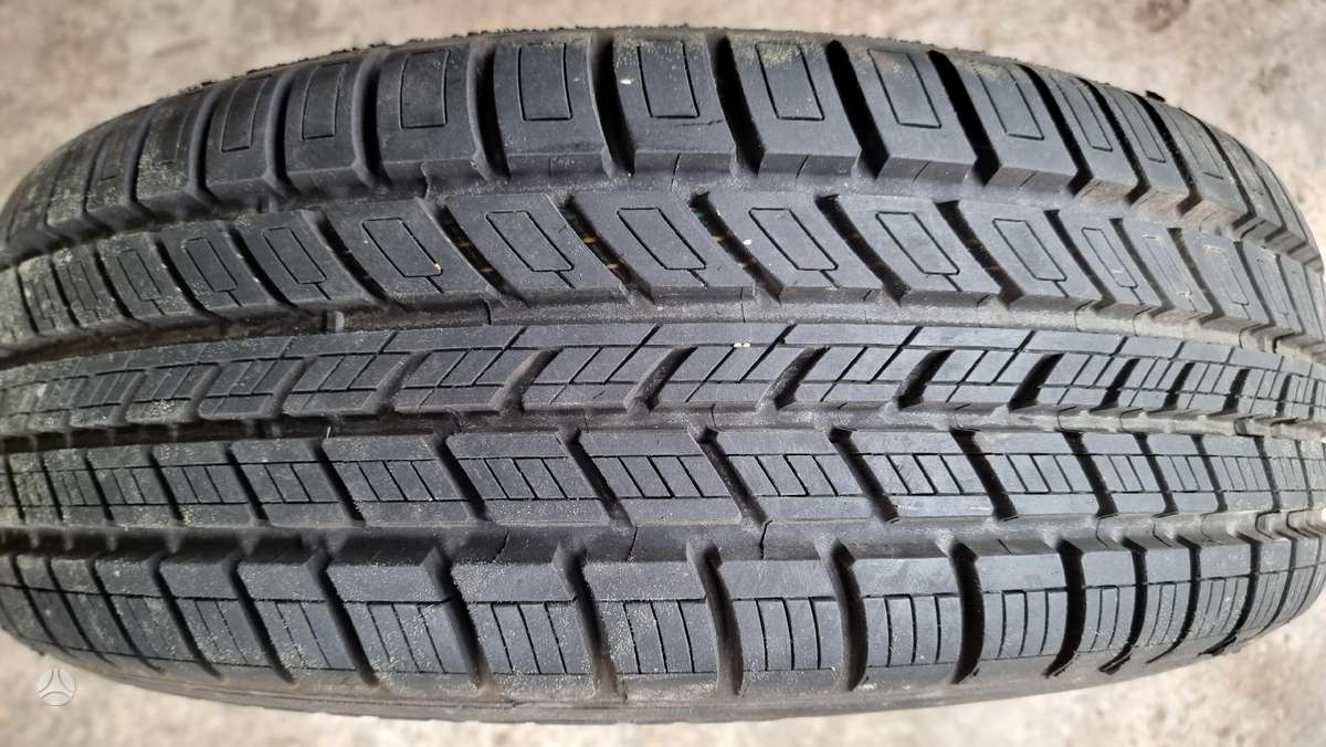 Bridgestone B 250, vasarinės 195/65 R15
