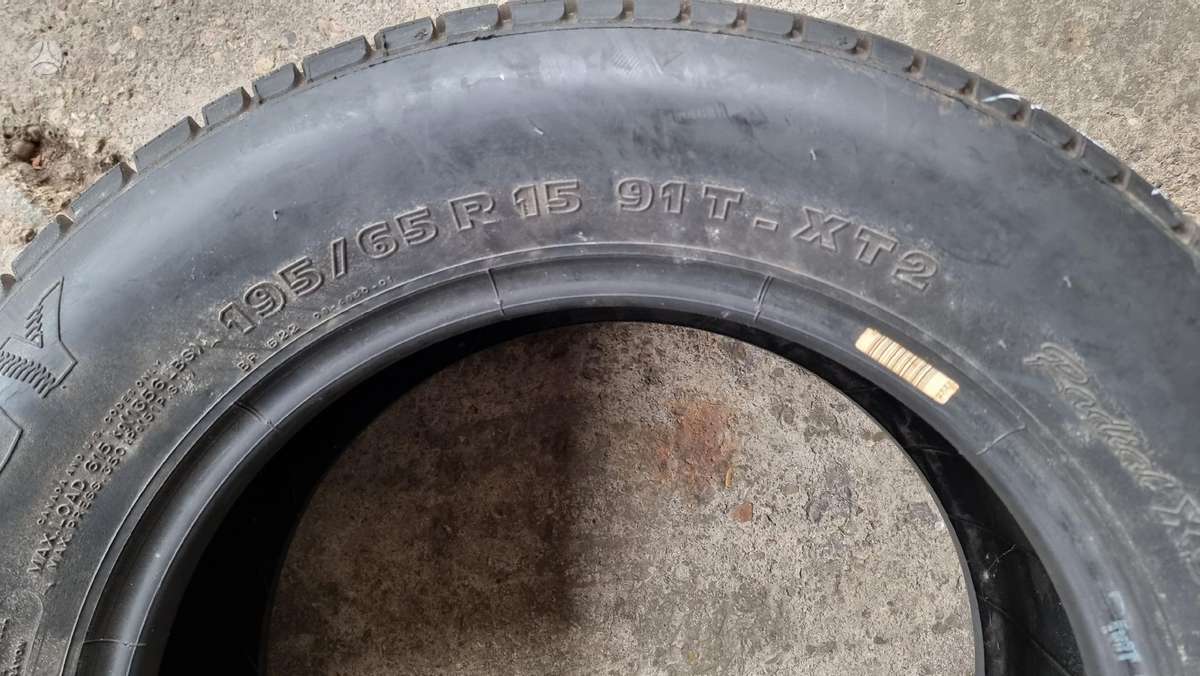 Bridgestone B 250, vasarinės 195/65 R15