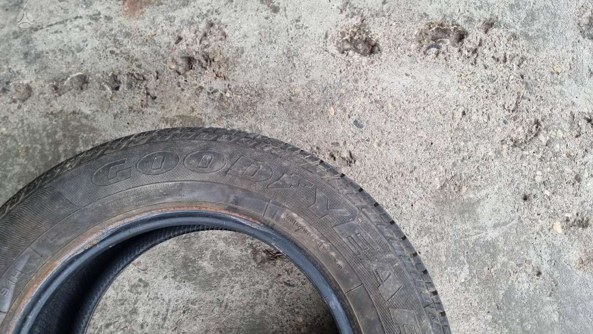 Bridgestone B 250, vasarinės 195/65 R15