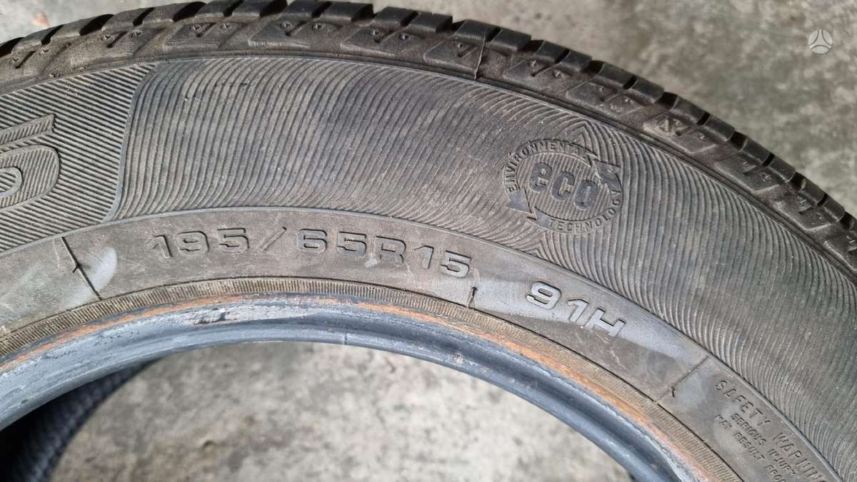 Bridgestone B 250, vasarinės 195/65 R15