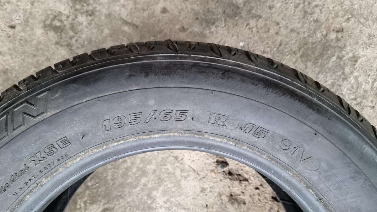 Bridgestone B 250, vasarinės 195/65 R15