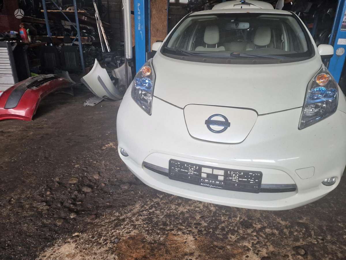 Nissan Leaf dalimis