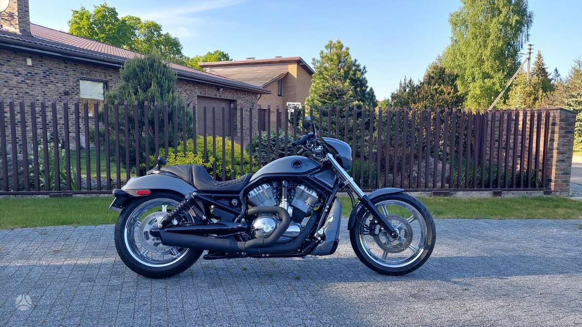 Harley-Davidson VRSCB 1130cc, choppers / cruisers / custom