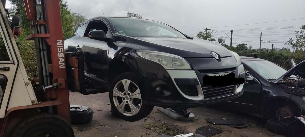 Renault Megane 37069885048