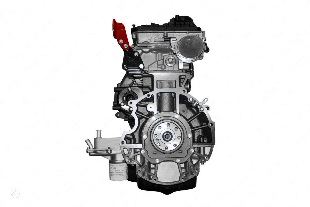 Ford Transit variklis