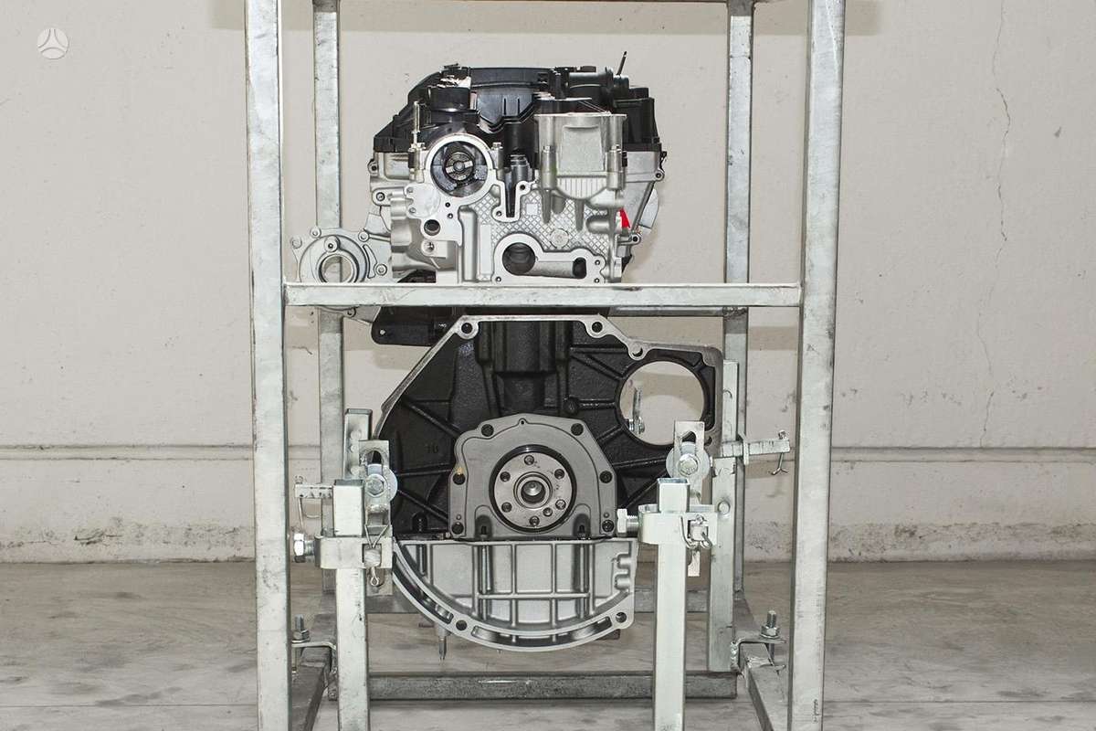 Ford Focus variklis