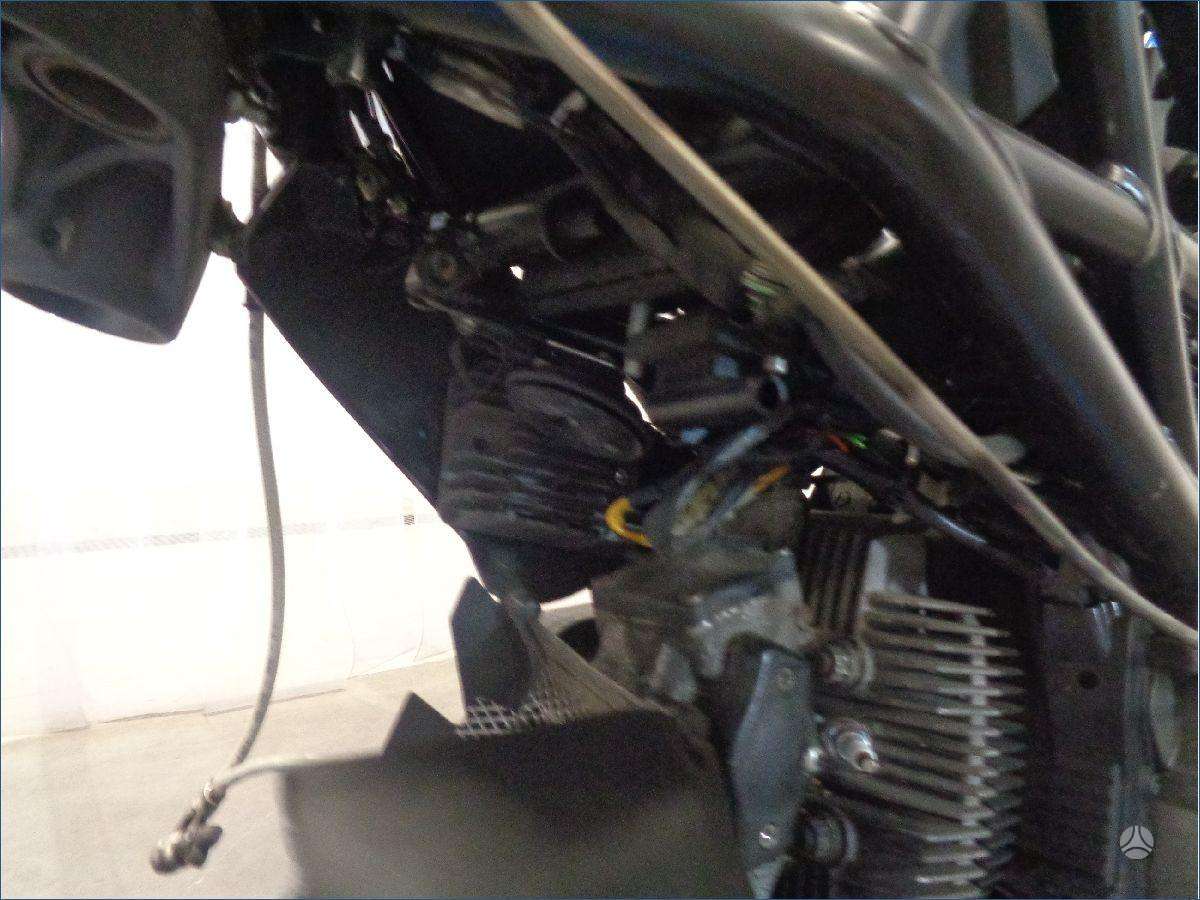 Ducati Monster, street / classic