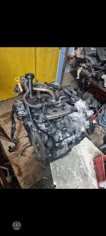 Volkswagen Multivan variklio detalės
