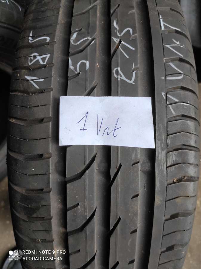 Dunlop, vasarinės 185/55 R15