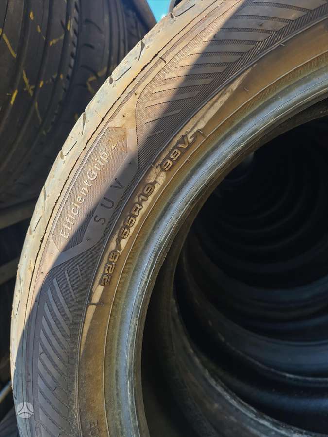 Goodyear, vasarinės 225/55 R19