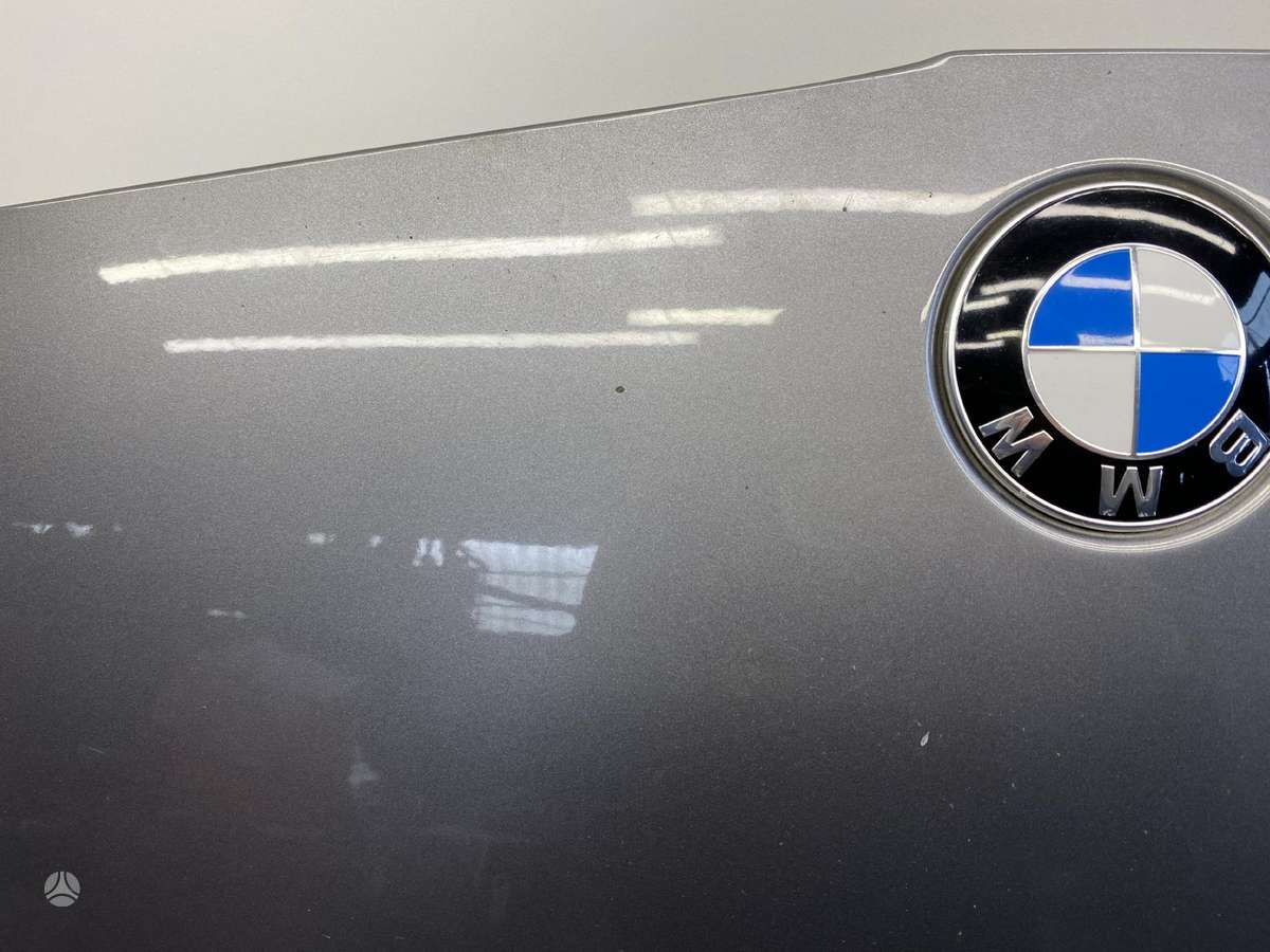 BMW 330 hood (front, rear)