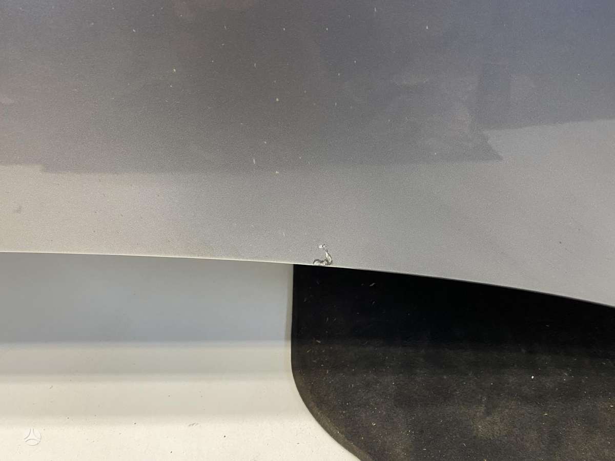 BMW 330 hood (front, rear)