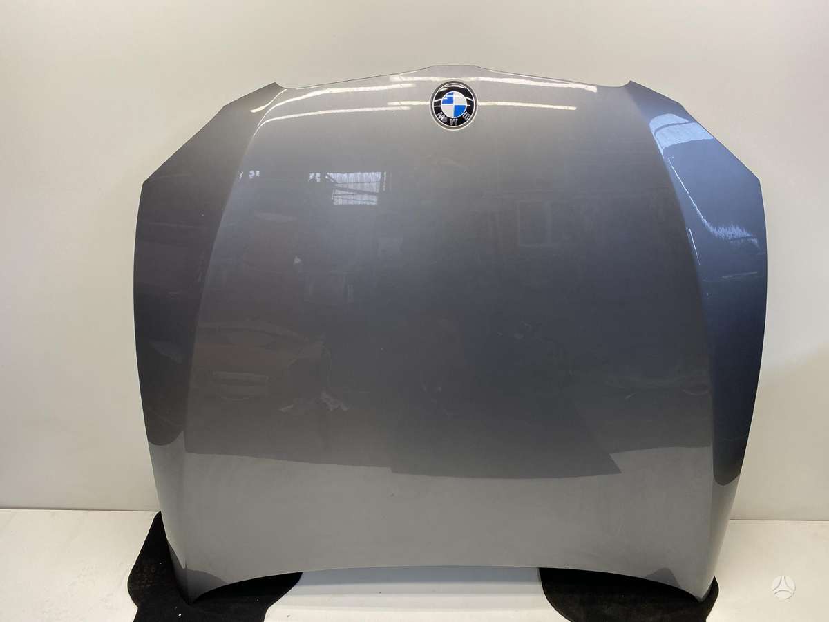 BMW 330 hood (front, rear)