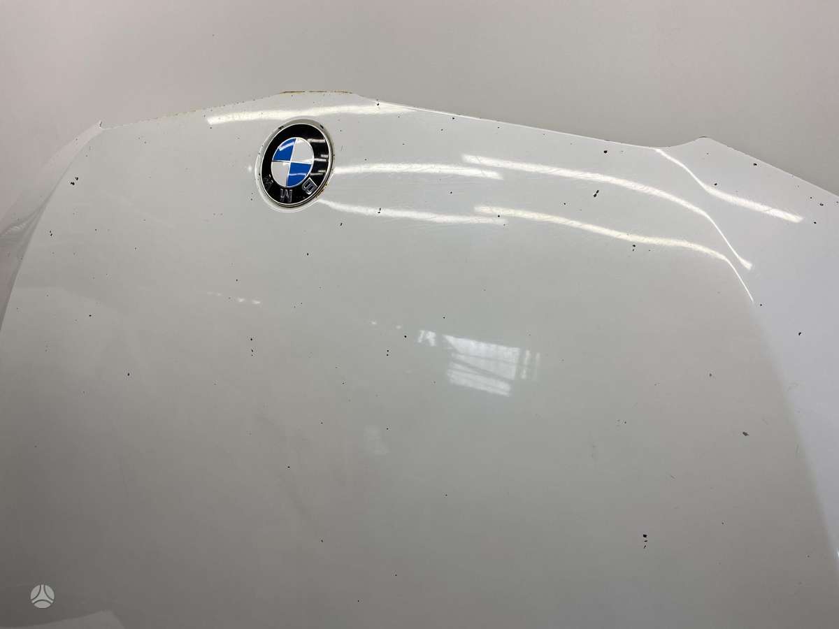 BMW 330 hood (front, rear)