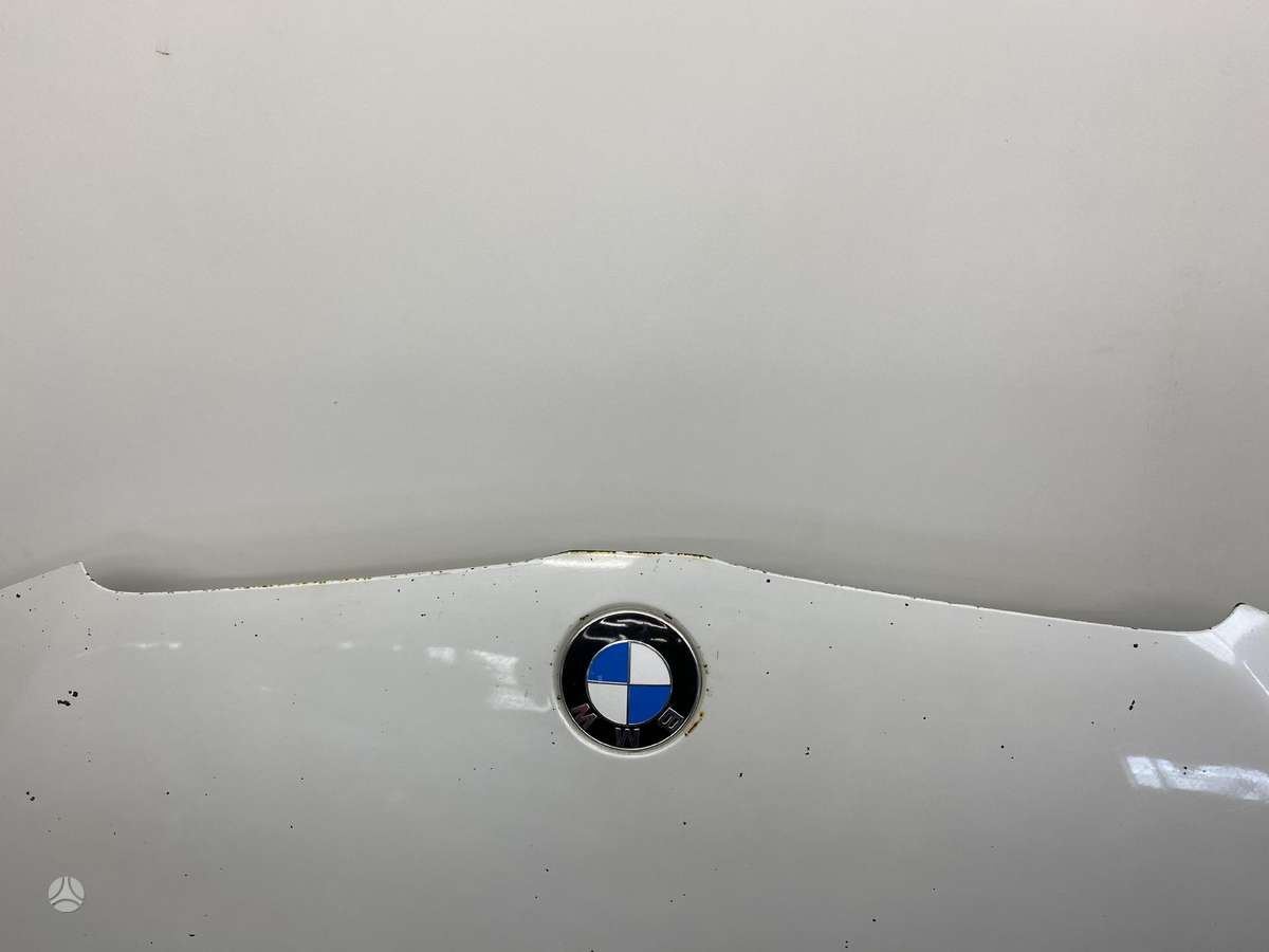 BMW 330 hood (front, rear)