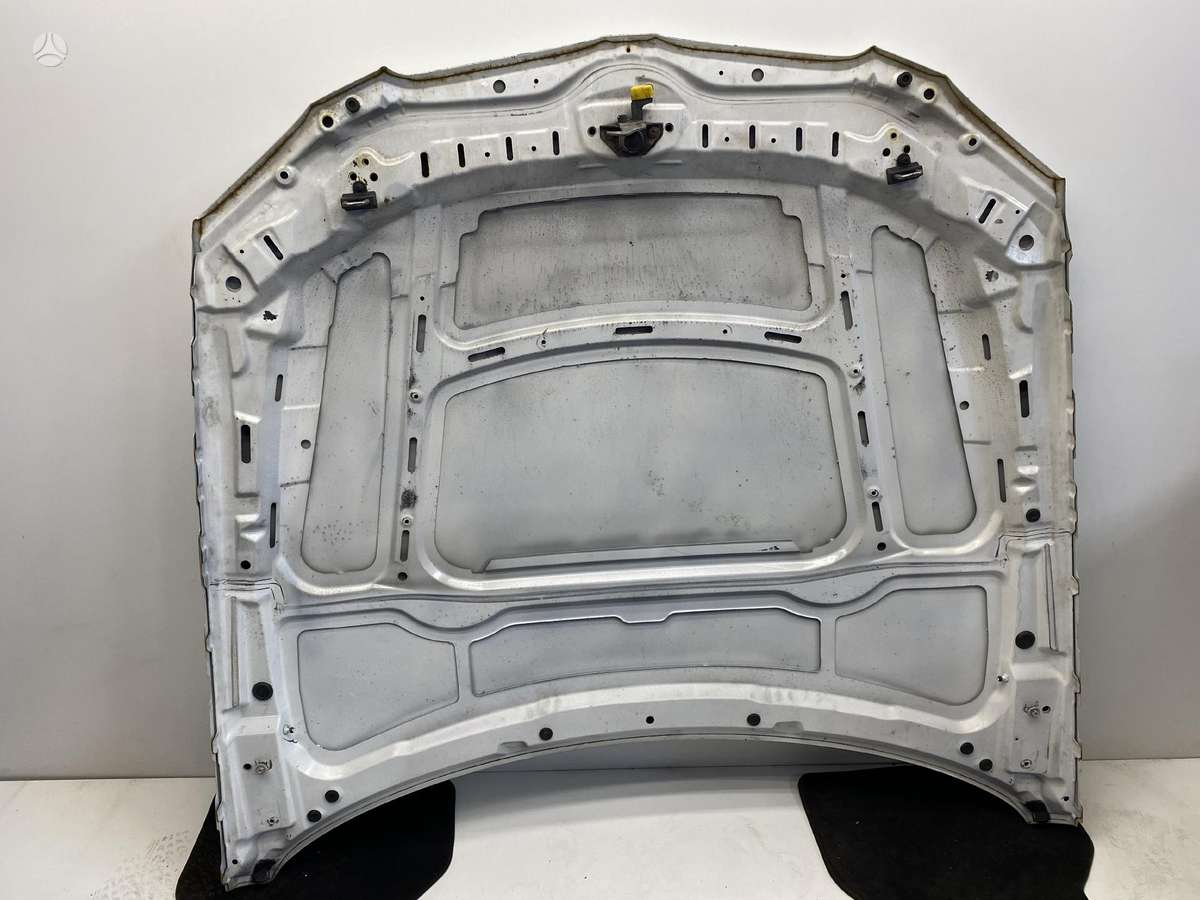 BMW 330 hood (front, rear)