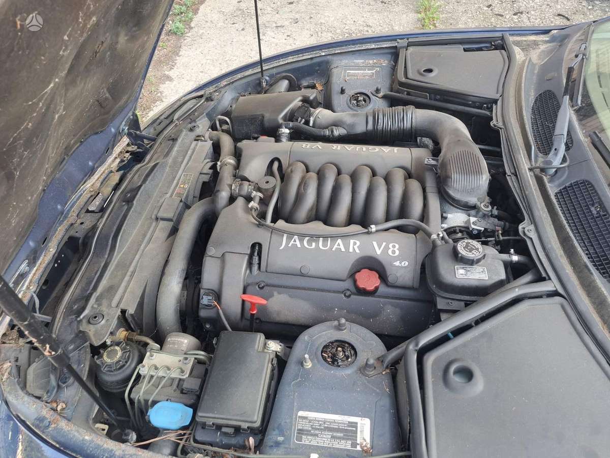 Jaguar XK8 dalimis. Variklis dalimis